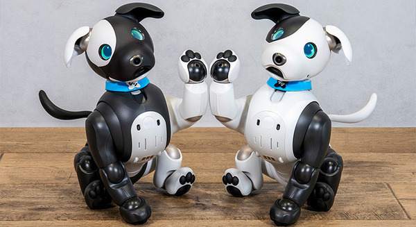 三井住友信託銀行とaiboがコラボ マスコットキャラ「シンジル&タクセル」のaiboモデルが全国の支店に登場 aiboオーナー特典も 画像