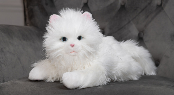 成長機能をもった新モデル「子猫型ペットロボット」感情表現のパターンは100通り以上 クラファンで先行販売 画像