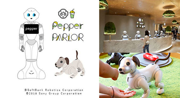 渋谷「Pepper PARLOR」でaiboコラボ開催 aiboも一緒にARでお食事体験 特製ステッカー付きでお得な2割引き 画像