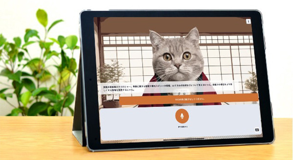 「ChatGPT対応の猫が観光のご相談に乗ります」地方観光向けにオススメ観光地を猫型会話AIに相談する実証実験　猫はやっぱり最強か? 画像