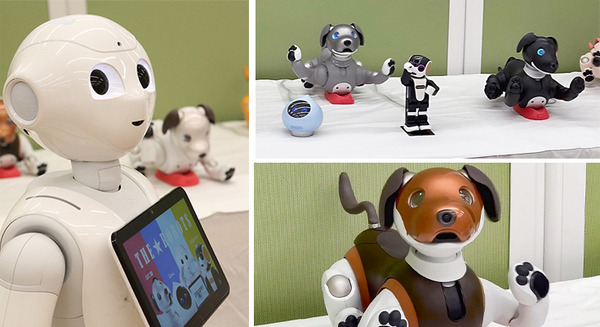 「THE★ROBOTS」ロボットダンスショー公開(ちょもろー)　aiboメンバー全色カラー勢揃い、Romiはどうやって踊るの? 画像