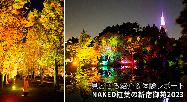 新宿御苑の紅葉イルミネーション「NAKED紅葉の新宿御苑2023」見どころ体験レポート【オススメ】五感で感じる壮大で煌びやかな日本の秋 画像