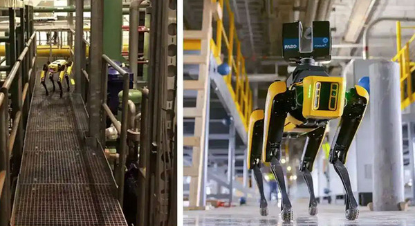 日本IBM、四足歩行のAI搭載ロボット「スポット」で空港警備業務の調査事業と実証実験を中部国際空港で実施へ 画像