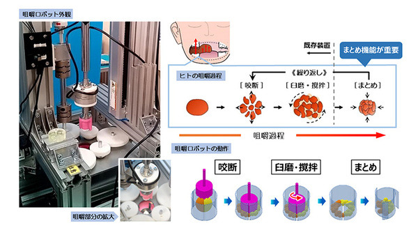 【世界初】大阪大学とJ-オイルミルズが咀嚼ロボットを開発　ヒトの咀嚼の仕組みを再現し食品の評価に活用 画像