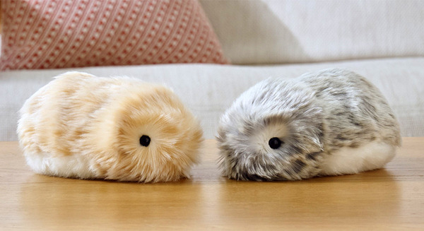 飼い主になつくフワフワ毛並みの癒しAIペットロボット「モフリン」カシオが発売　独自開発の感情AIで400万通り以上の個性 画像