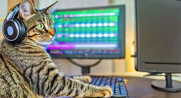 NVIDIAがオーディオ生成の画期的なAI研究モデル「Fugatto」発表　文字入力だけで音楽・音声・サウンドの組合せも生成 画像