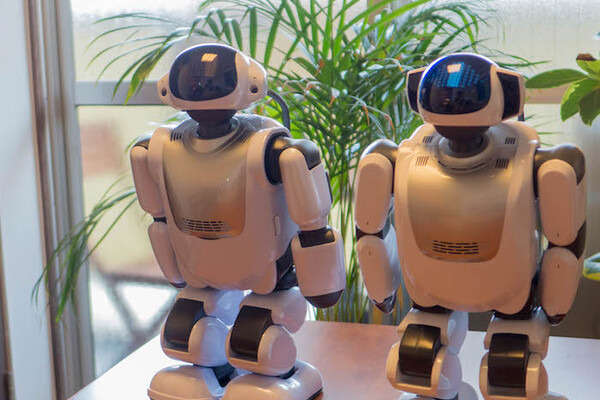 【総力特集】「PALRO」と「Palmi」兄弟ロボット徹底比較！　その1　～開封の儀～ 画像