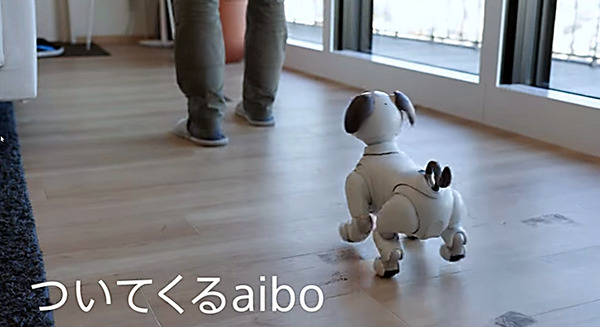 ソニー「aibo」がモノをくわえて遊んだり、ユーザーについて歩けるようになったよ！ 画像