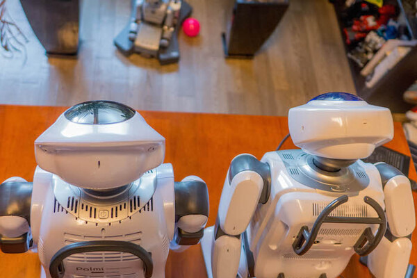 【総力特集】「PALRO」と「Palmi」兄弟ロボット徹底比較！　その3　～初めての起動～ 画像