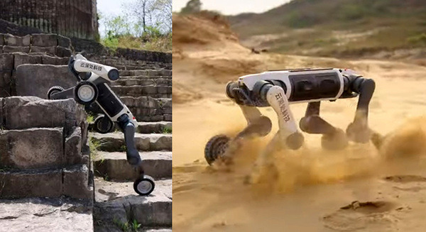 エルザ ジャパンが四足歩行ロボット『Lynx M20シリーズ』の取り扱いを開始　悪天候下や災害現場、消防現場などでも作業可能 画像