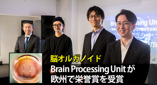 ソフトバンク先端技術研究所や東大、真鍋氏「脳オルガノイドの人工脳細胞プロセッサ」BPU研究が欧州で栄誉賞を受賞　 画像