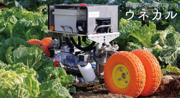 除草作業時間80%削減へ　自律型親子式除草ロボット「ウネカル」が農水省スマート農業事業に採択 画像