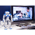 【独断と偏見】「2017 Japan IT Week 春」頑張ってるロボットたち【ブース番号つき】