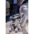 伝説のソニー製二足歩行ロボット「QRIO」、ロボカップ会場でダンスパフォーマンスを披露