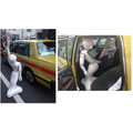 「ロボットとは会話しません」 —— 真の魅力はどこに？ ロボットと暮らす女性3名が本音で語る