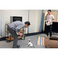 aiboがロボット掃除機やブラビア、セコムとAPI連携するとどんなことができる? ソニーが少し未来っぽい生活をデモ公開