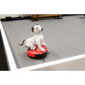aiboがロボット掃除機やブラビア、セコムとAPI連携するとどんなことができる? ソニーが少し未来っぽい生活をデモ公開