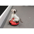 aiboがロボット掃除機やブラビア、セコムとAPI連携するとどんなことができる? ソニーが少し未来っぽい生活をデモ公開
