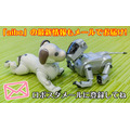 aiboがロボット掃除機やブラビア、セコムとAPI連携するとどんなことができる? ソニーが少し未来っぽい生活をデモ公開