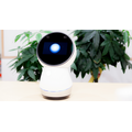 Jiboのソーシャルロボット技術資産の一部を米NTT Disruptionが取得