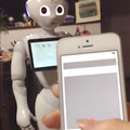 <p>シェア 0 ツイート 0 はてブ 0</p>