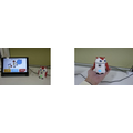 AIロボットを用いて自宅で認知機能トレーニング 大阪精神医療センターで臨床研究を開始 時間になるとロボットが呼びかけ