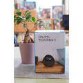 Amazon『Echo Spot（2024年発売）』実機レビュー　新型スマートアラームクロックの音質や初期設定をチェック
