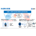 NTT【世界初】eスポーツで対戦前なのに脳波で勝敗結果が約80%の確率でわかる　勝敗を左右する脳波パターンを特定