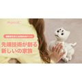 <p>シェア 0 ツイート 0 はてブ 0</p>