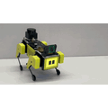 生成AIを搭載したロボット犬「Mini Pupper2」がMakuakeで予約開始　会話でコミュニケーション、ジャンケンや撮影物の説明も
