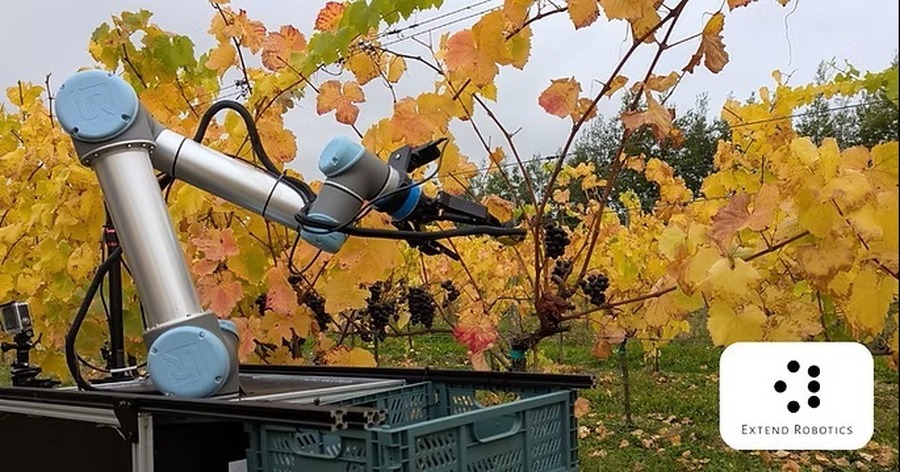 英国Extend Roboticsの収穫ロボット 労働力不足に直面する農業課題に向き合う