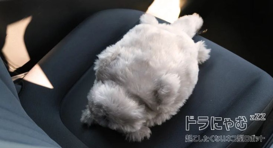 猫型ロボット「ドラにゃむ」が高齢ドライバーの安全運転支援、quantumとトヨタ・モビリティ基金が実証実験