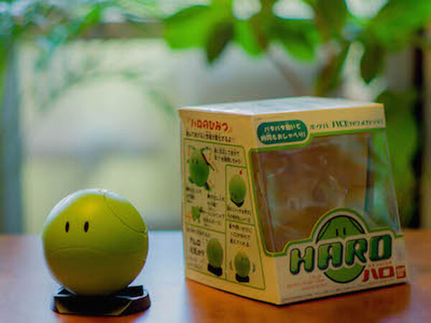 <p>シェア 0 ツイート 0 はてブ 0</p>