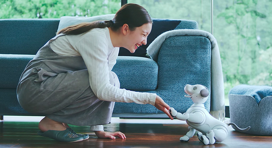 <p>シェア 0 ツイート 0 はてブ 0</p>