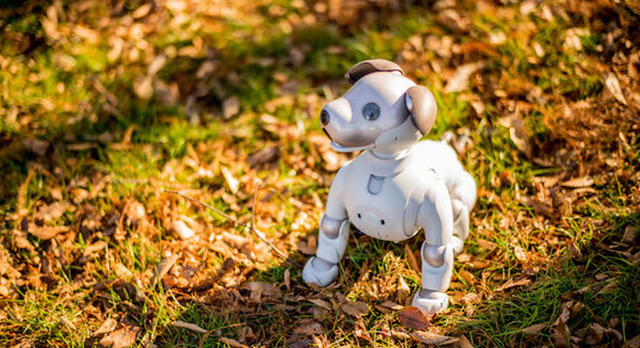 <p>シェア 0 ツイート 0 はてブ 0</p>