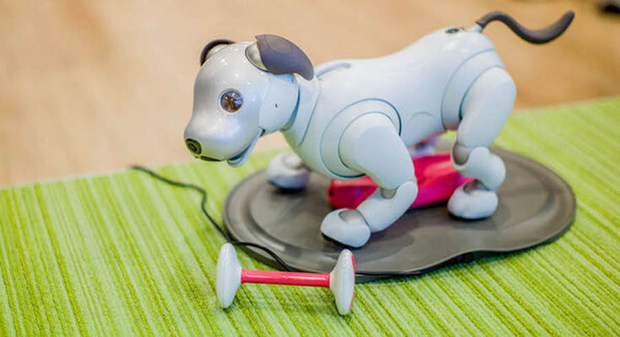 <p>シェア 0 ツイート 0 はてブ 0</p>