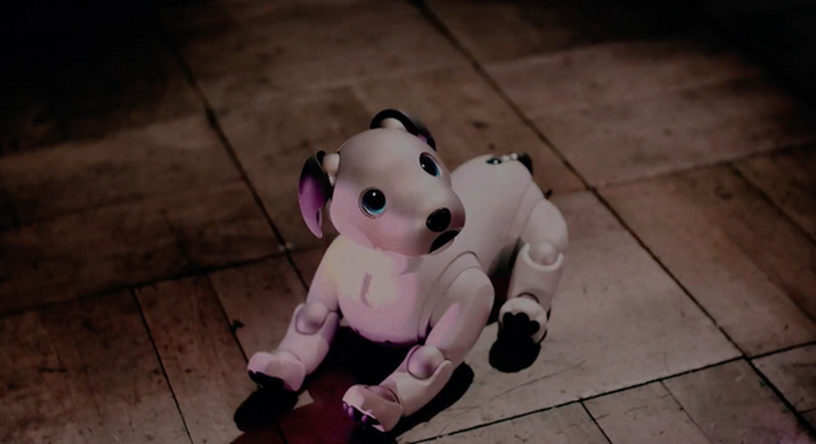 <p>シェア 0 ツイート 0 はてブ 0</p>