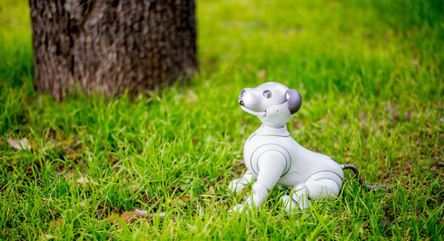 <p>シェア 0 ツイート 0 はてブ 0</p>