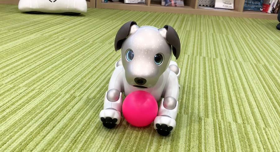 <p>シェア 0 ツイート 0 はてブ 0</p>