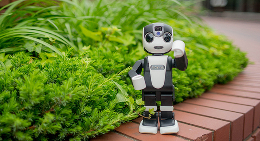 <p>シェア 0 ツイート 0 はてブ 0</p>