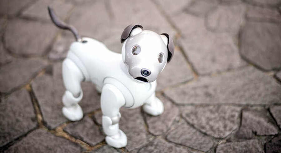 <p>シェア 0 ツイート 0 はてブ 0</p>