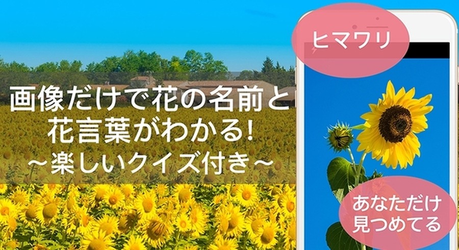 <p>シェア 0 ツイート 0 はてブ 0</p>