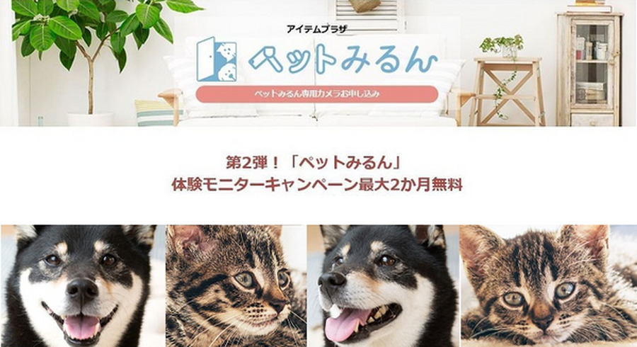 <p>シェア 0 ツイート 0 はてブ 0</p>