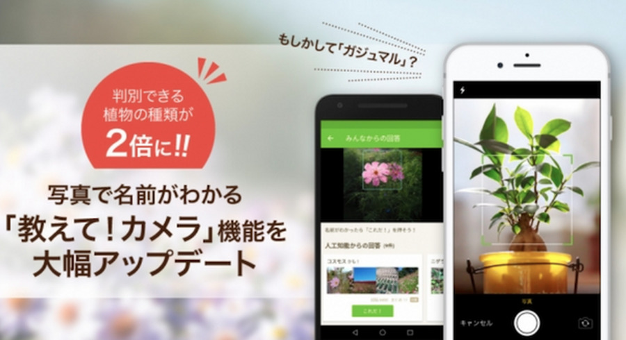 <p>シェア 0 ツイート 0 はてブ 0</p>