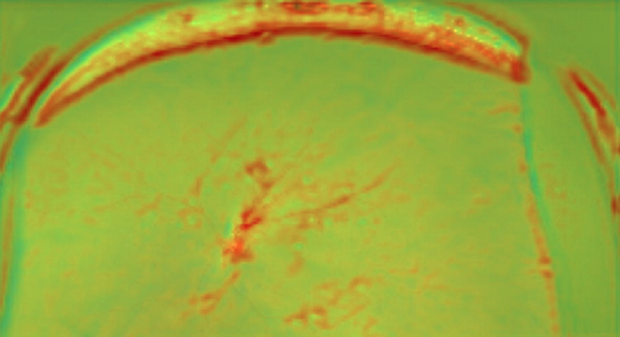 <p>シェア 0 ツイート 0 はてブ 0</p>