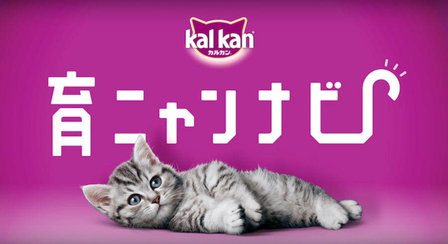 <p>シェア 0 ツイート 0 はてブ 0</p>