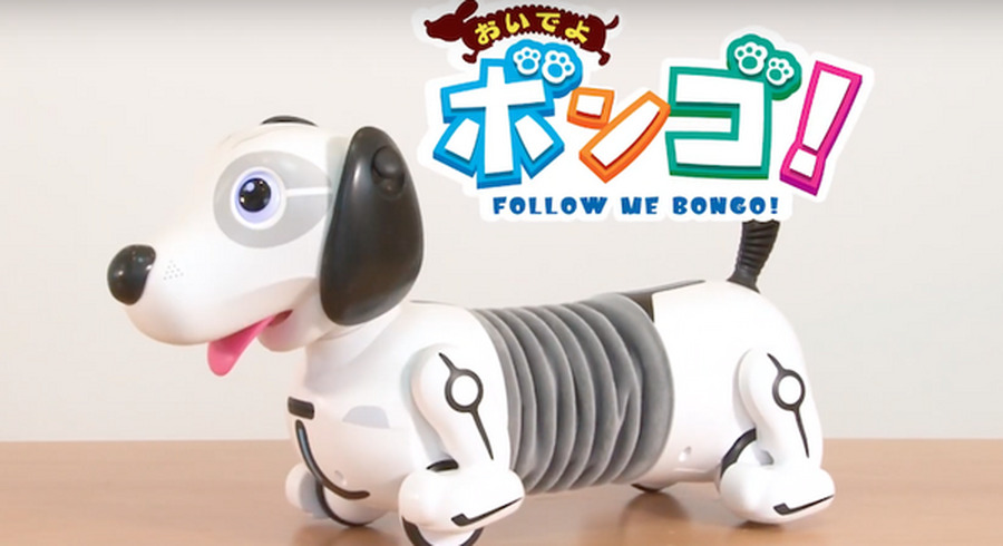 <p>シェア 0 ツイート 0 はてブ 0</p>