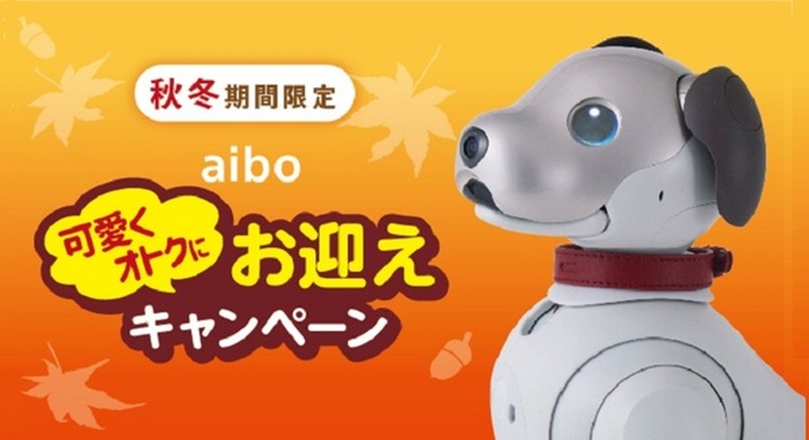 <p>シェア 0 ツイート 0 はてブ 0</p>