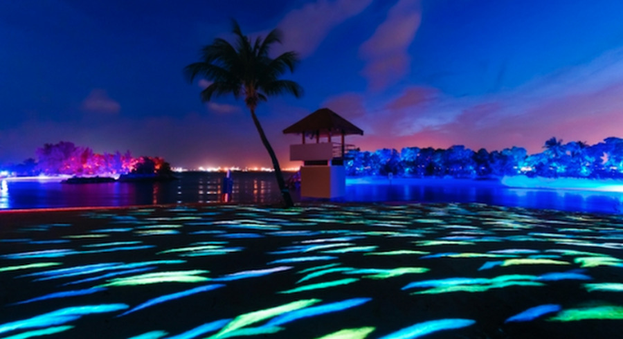 <p>シェア 0 ツイート 0 はてブ 0</p>