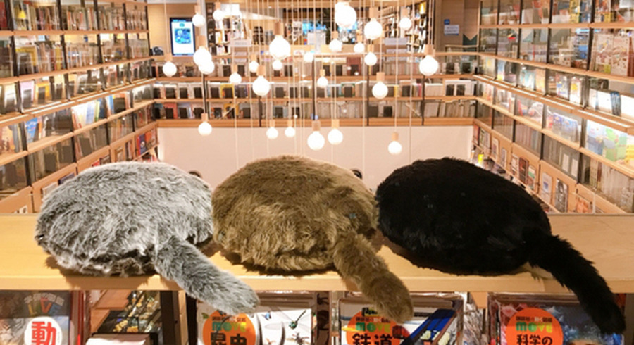 <p>シェア 0 ツイート 0 はてブ 0</p>